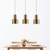 Modern Brass Pendant Ceiling Light