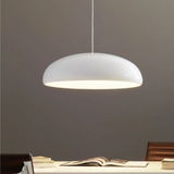 Modern Dome Pendant Ceiling Light